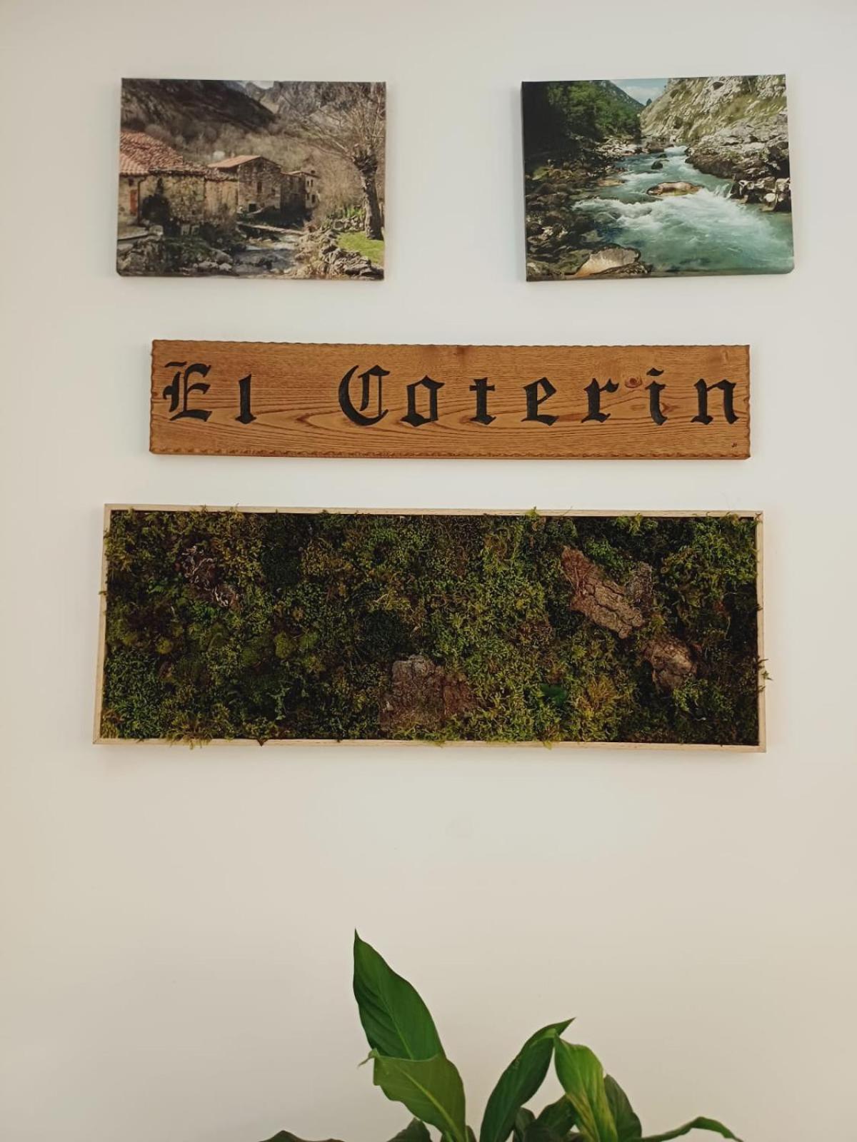Hotel El Coterin Apartamentos Y Habitaciones อาเรนัส เด กาบราเลส ภายนอก รูปภาพ